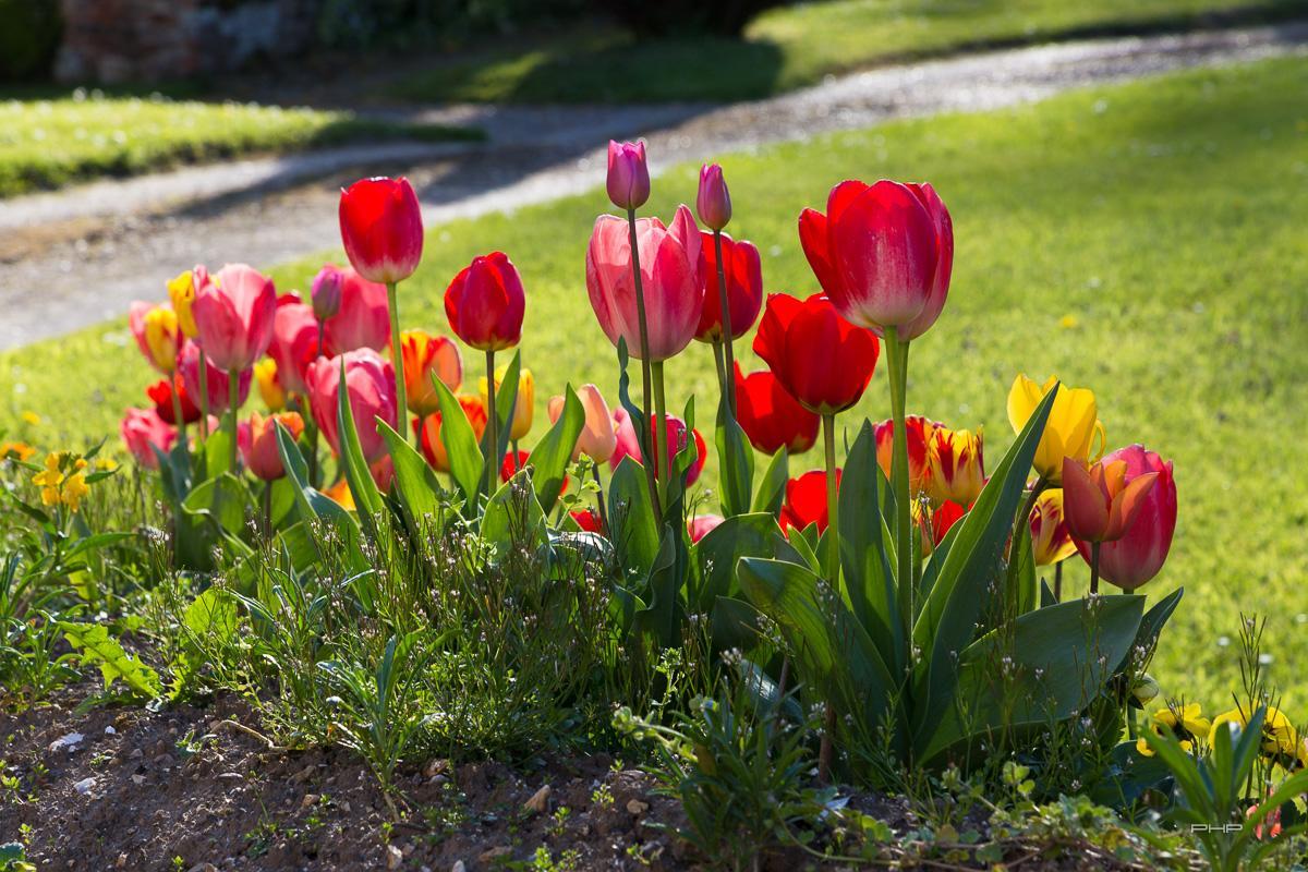 Auberge Du Manoir D'Archelles Arques-la-Bataille ภายนอก รูปภาพ